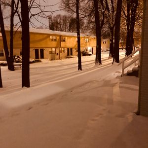 美女一级ba大片免色野外
