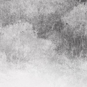 美女一级ba大片免色野外
